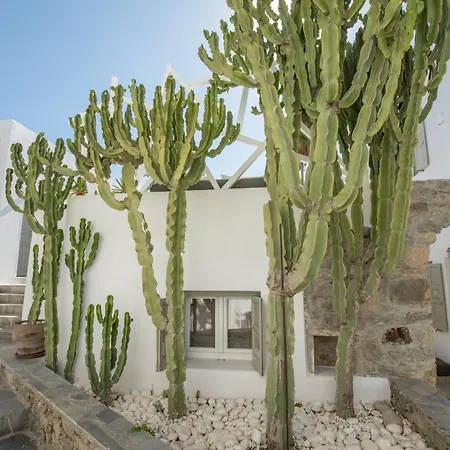 Damianos Mykonos Hotell