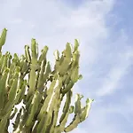 Damianos Mykonos Hotell 3*