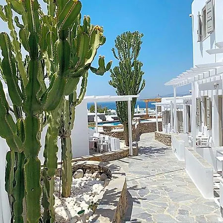 Отель Damianos Mykonos