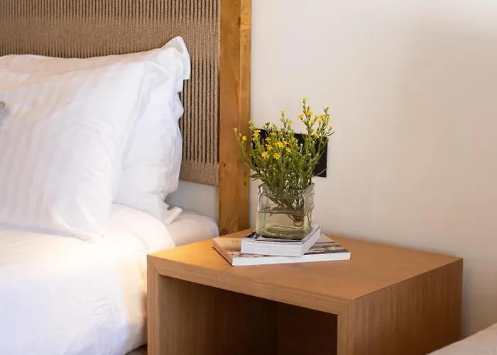 米科诺斯达米安诺斯酒店