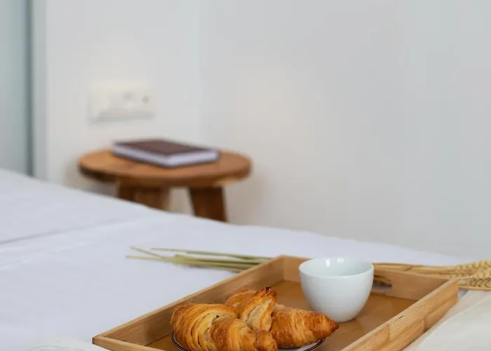 米科诺斯达米安诺斯酒店