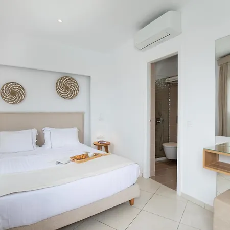 米科诺斯达米安诺斯酒店 酒店