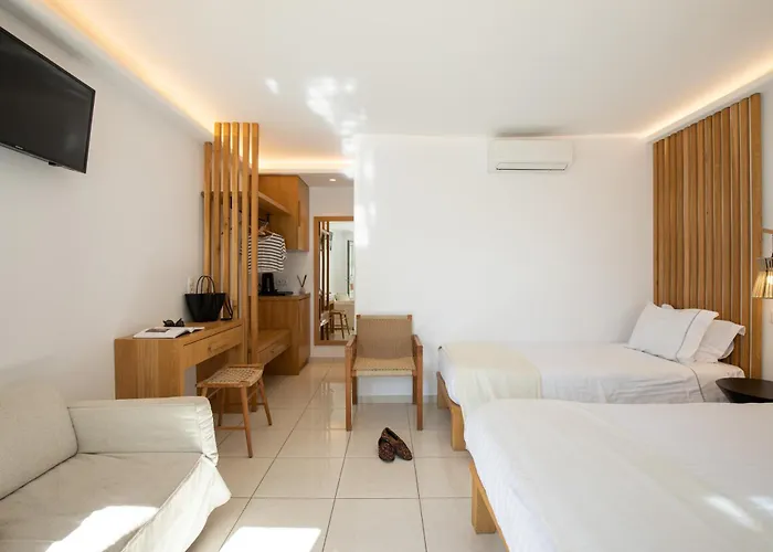 Damianos Mykonos Hotel 3*